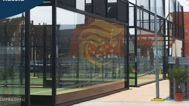 Board tennis in Saint Petersburg, Russia