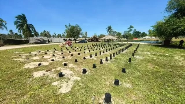 Turnkey solution for a padel court at the Bangkok Music Festival in Thailand